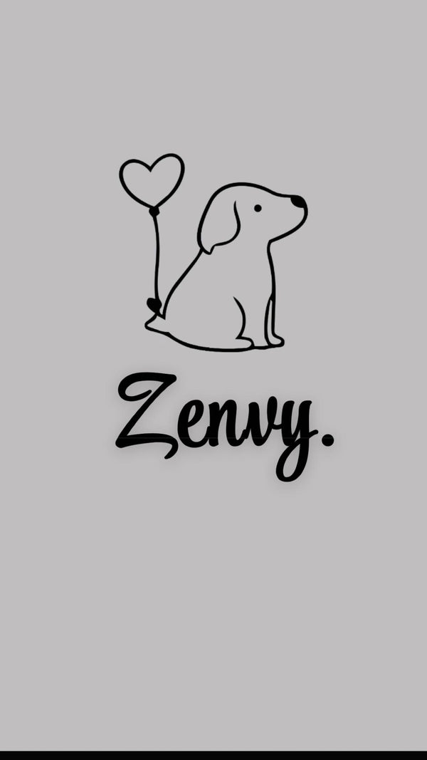 ZENVY.CO